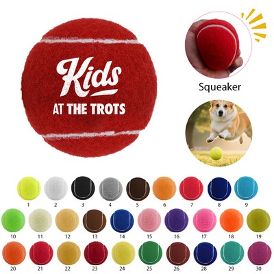 2.5"D Pet Toy Fido's Dog Fetching Tennis Ball with Squeaky